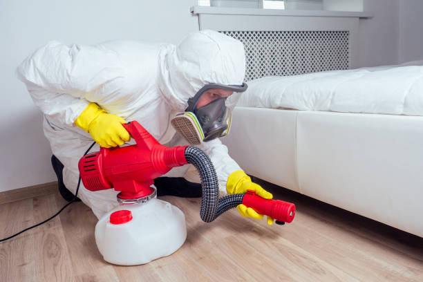 Best Affordable Pest Control Services  in Bloomingdale, FL