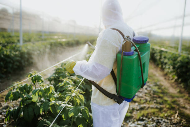 Best Flea Control Services  in Bloomingdale, FL